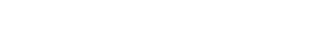 Logo REINO